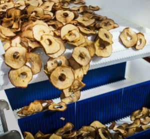 The end result: dried apple chips are an example of dried produce food products.