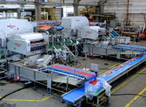 Aril Systems machinery on the job in a pomegranate processing line. Photos: John tanner