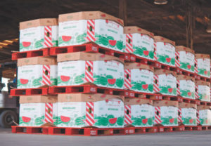 Full bins of watermelons stack on pallets and await shipment. Photo: PECO Pallet