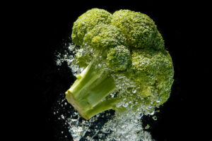 A green floret of fresh broccoli with water droplets in the foreground