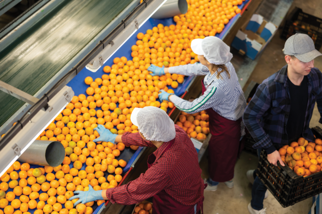 Workers sort brightly colored fruit