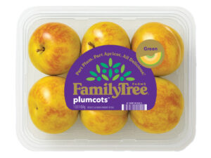 Yellow plumcots in a plastic clamshell