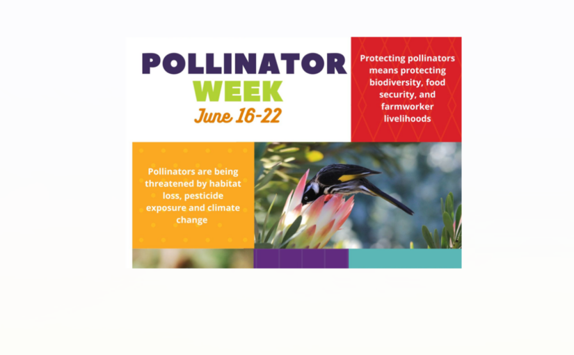 A brightly colored Pollinator Week logo and info box