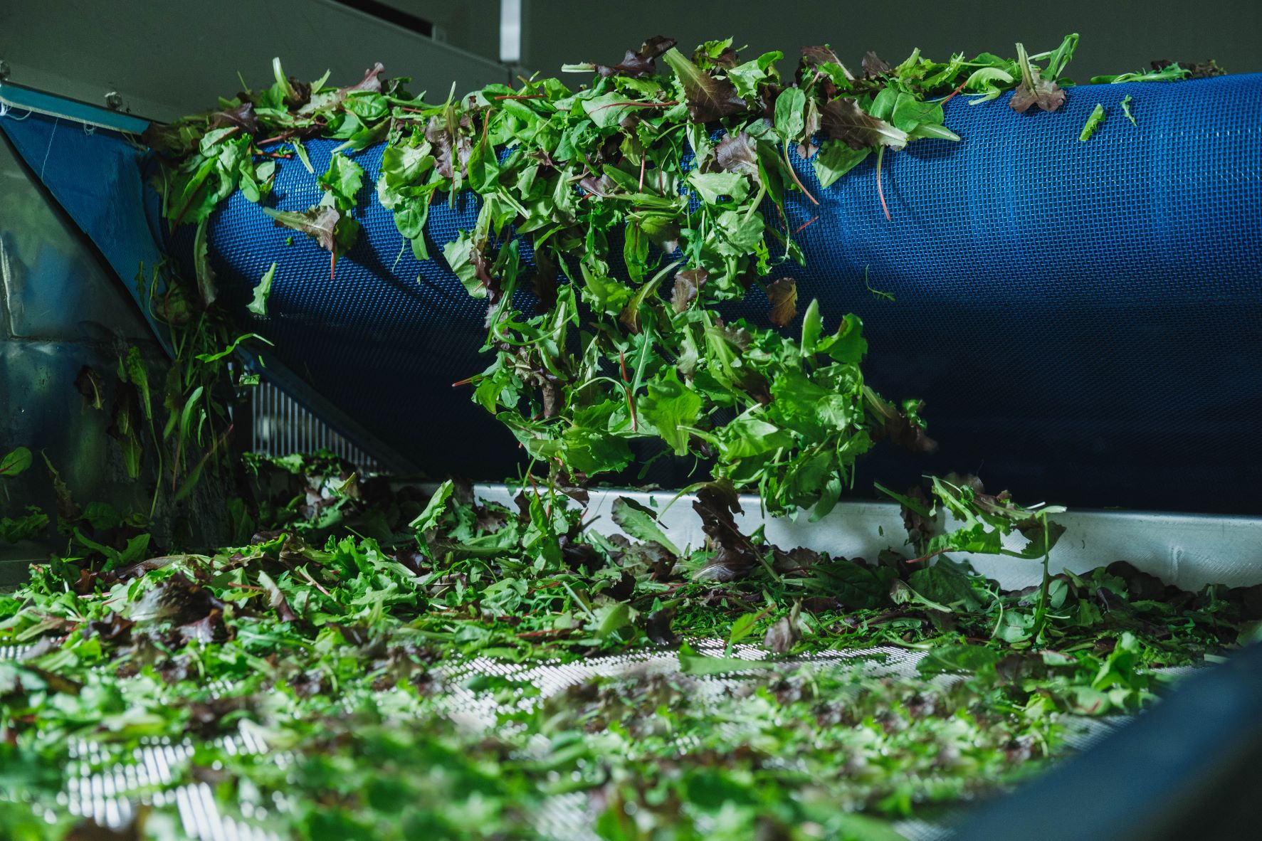 Forktofield Produce Processing