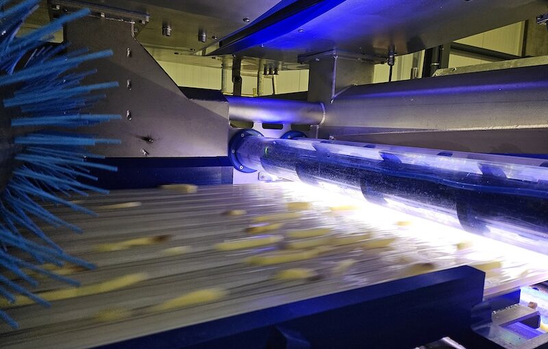 Potatoes move rapidly down a processing belt, illuminated by LED lighting