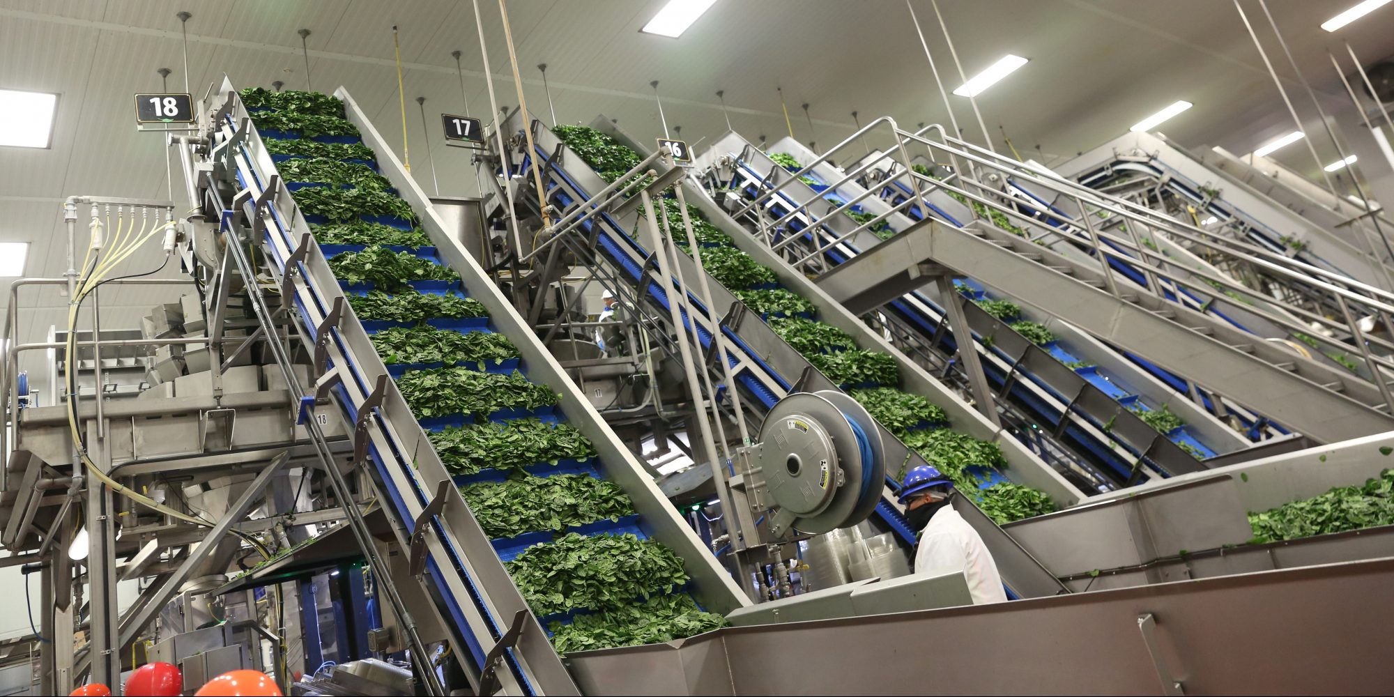 Food chain technologies help reduce waste Produce Processing