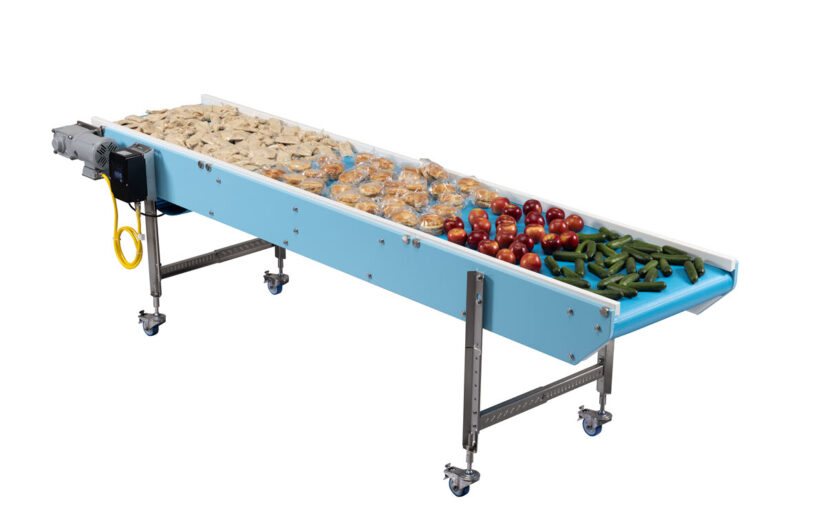 Food including vegetables on a conveyor belt