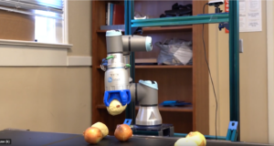 A robotic arm sorting fresh onions 