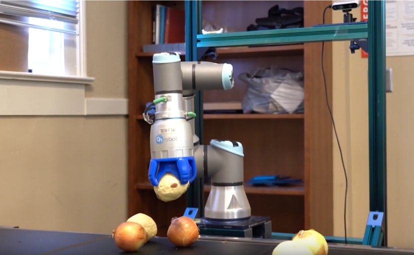 A robotic arm sorting fresh onions