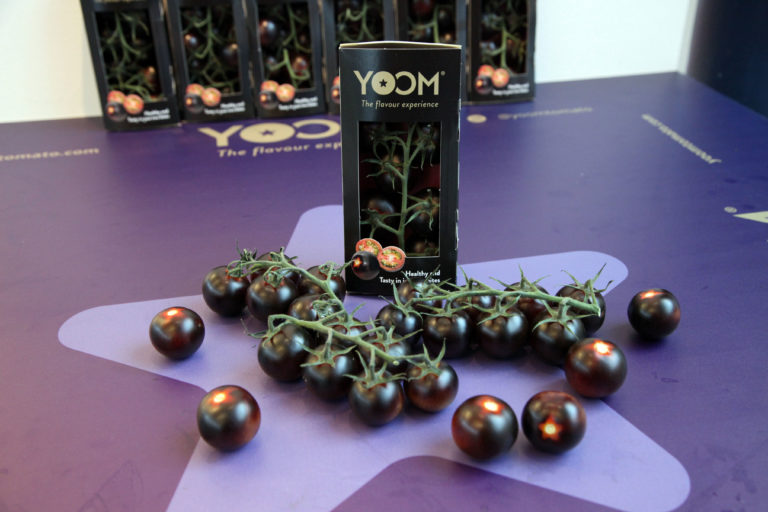 Yoom tomatoes Produce Processing