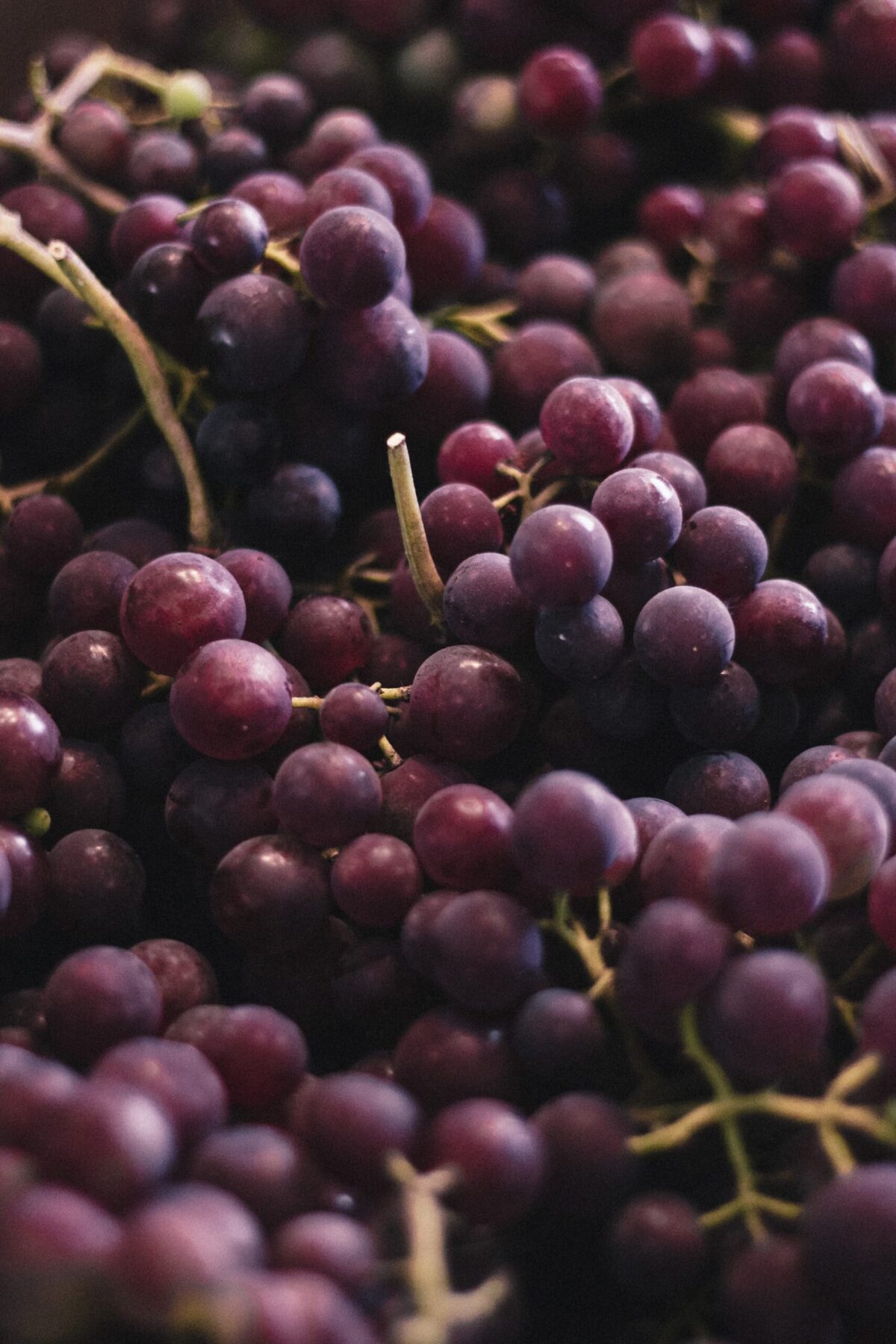 California table grapes, stone fruit grappling with storm's effects