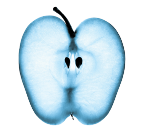 A grayscale image of an X-rayed apple