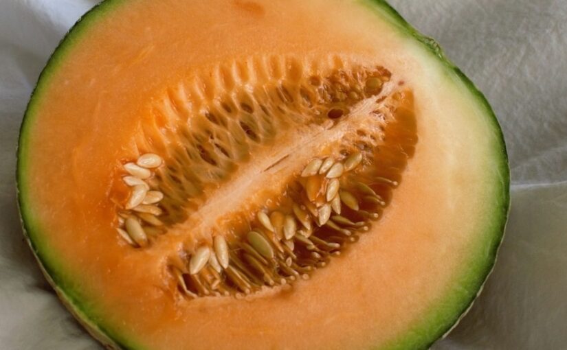 close up of a halved cantaloupe