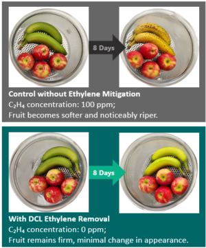 Graphic showing ripened fruit above fruit where ripening process has been slowed