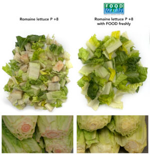 Side-by-side images shown browned lettuce compared to greener, fresher-looking produce