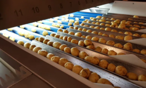 Newtec uses the Hailo AI chip in its optical sorting machines