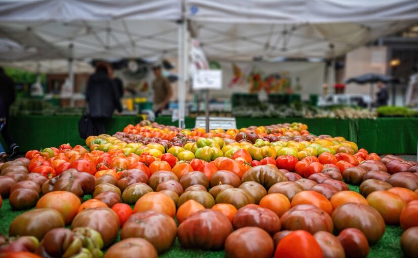 A selection of ripe tomatoes