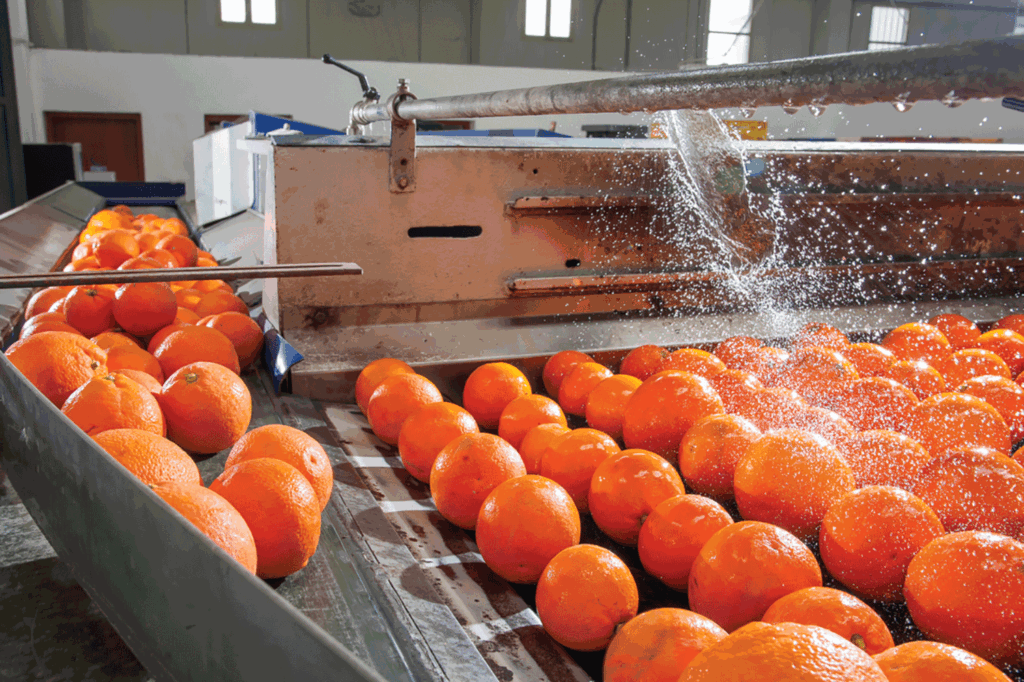 Microbial die-off: A complicated path to mitigate water contamination