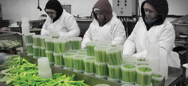 Allergen Alert: Proper labeling, rigorous manufacturing can help processors avoid problems