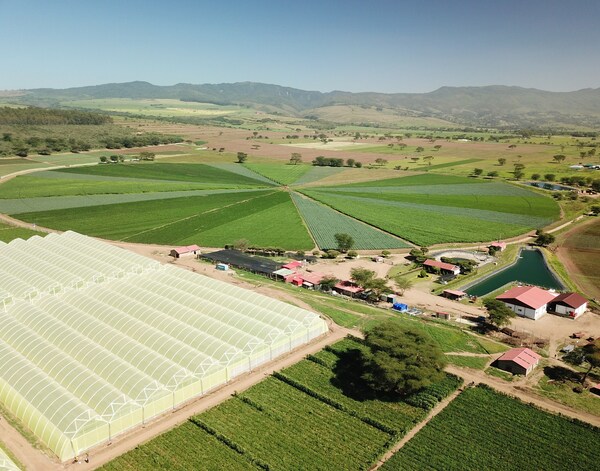 Investment to support production, distribution of produce in Kenya