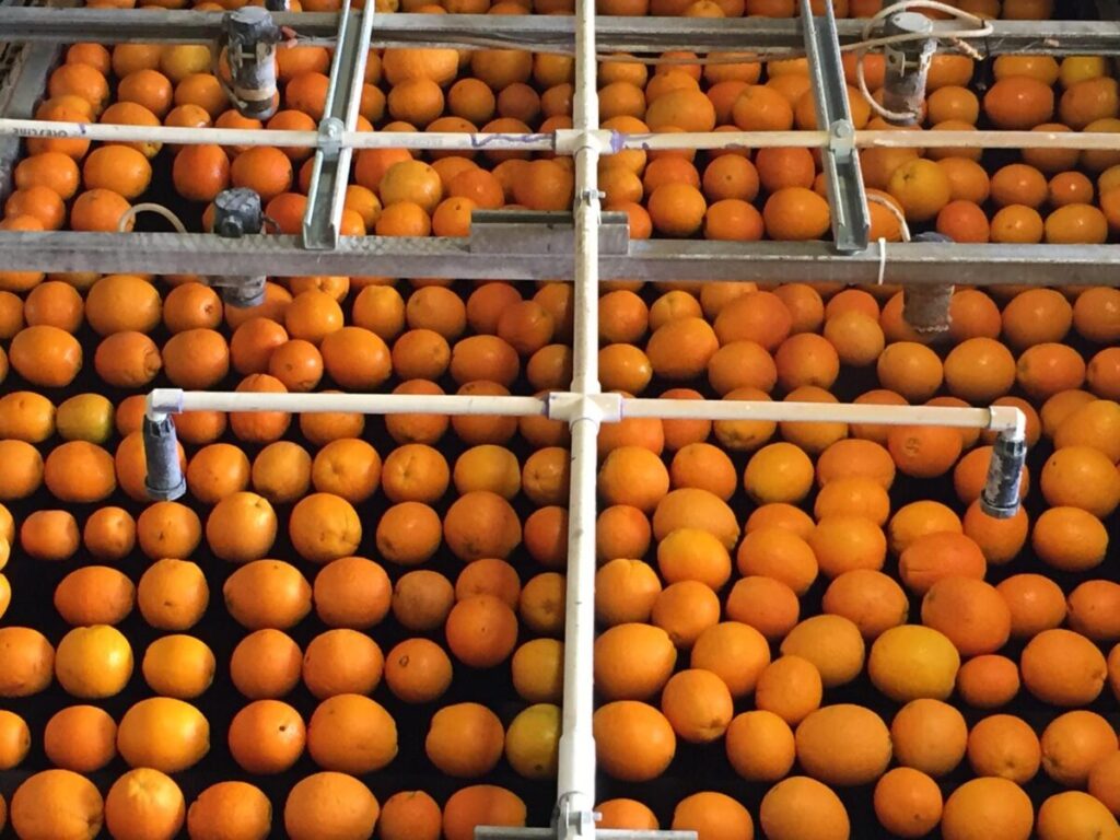 Plant-based edible coating company awarded research grant