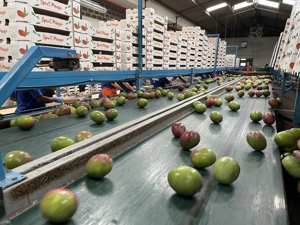 Postharvest solutions company expanding UAE presence