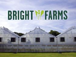 BrightFarms chooses Texas for fifth greenhouse site
