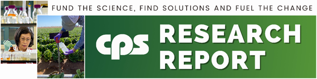 Project looks at E. coli risk during romaine postharvest cooling