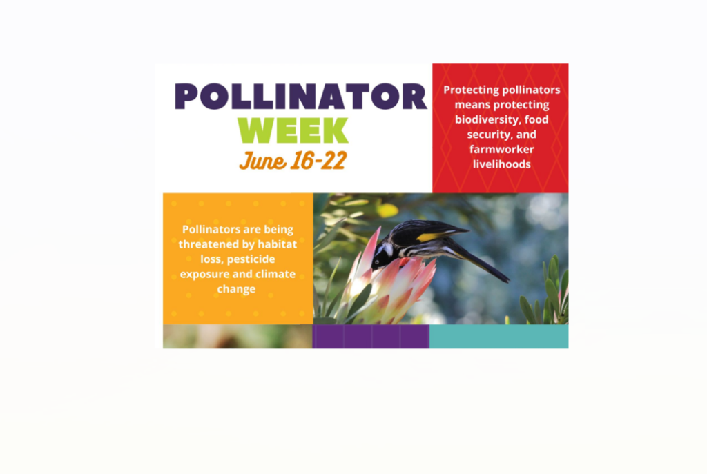 Free educational toolkit helps celebrate Pollinator Week