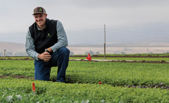 Checking in with spinach specialist Eric Christianson of Rijk Zwaan