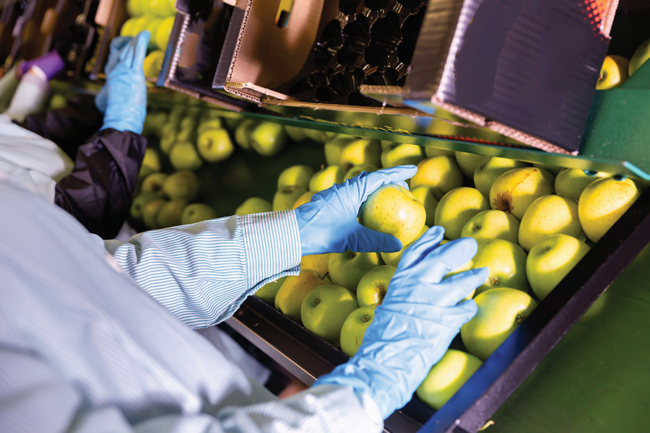 Produce Distributors Association hosting FSMA 204 compliance webinar