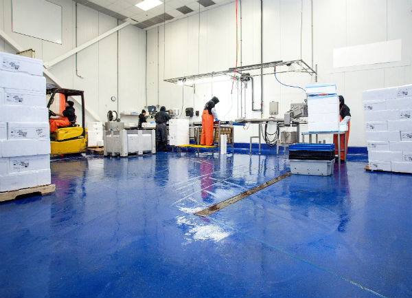 Processors earmark money for floor maintenance