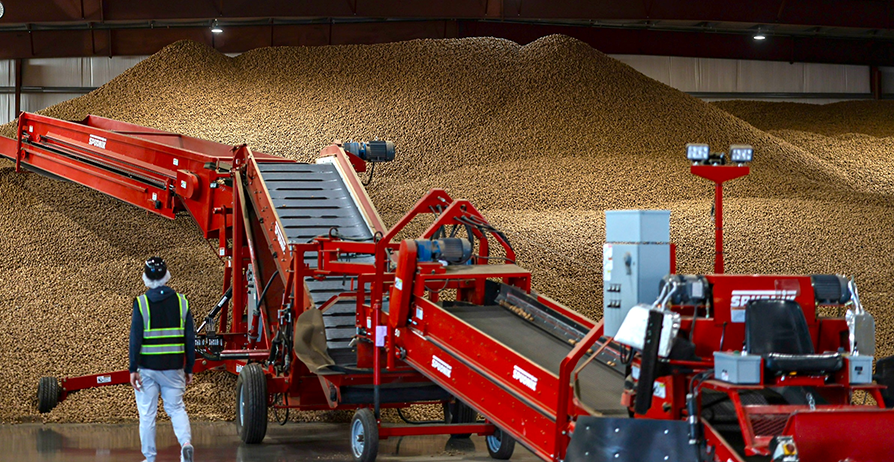 Walnut grower future-proofing operations with focus on sustainability