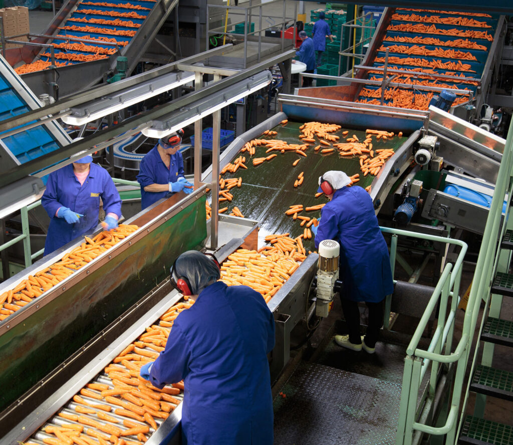 UK carrot grower adds powder processing line to cut down on waste