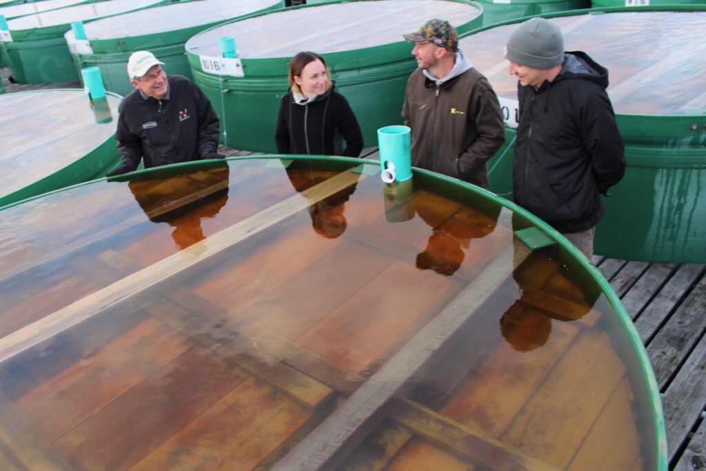 Swanson Pickle’s next generation stepping up with improvements