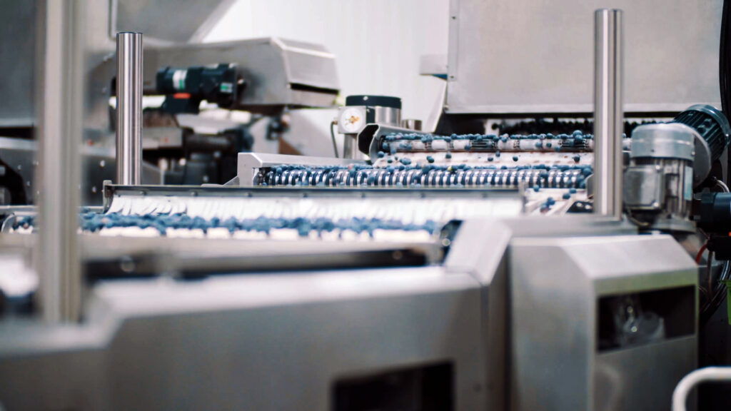 Grading and packing solutions for blueberry packhouses