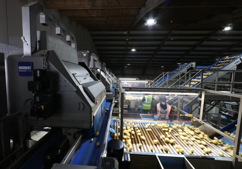 Key Technology introduces advanced potato sorter