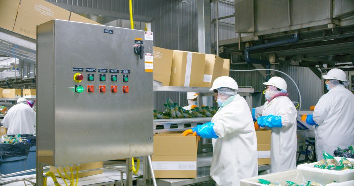 Fresh Del Monte & Mann Packing complete integration