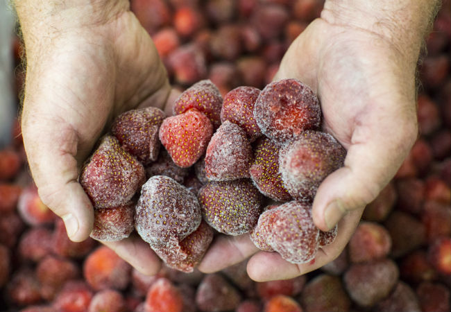 Michigan Farm to Freezer creates new customers with value-added processing