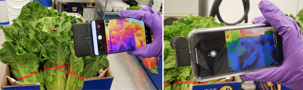 We do more together than we ever could apart