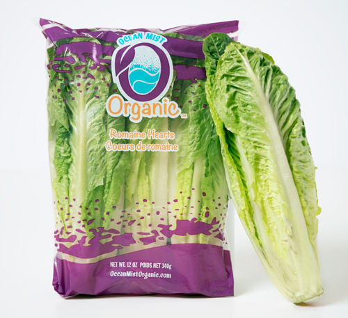 Ocean Mist Organic adds to product line