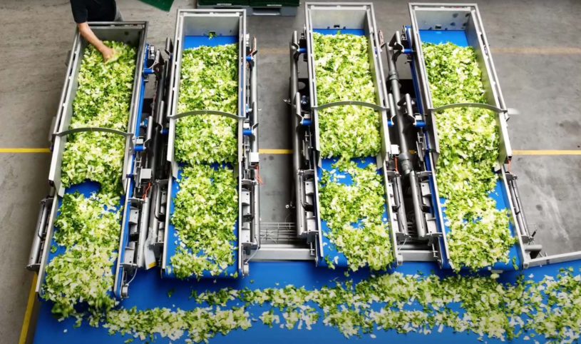 Report: Food processing equipment market to climb to $98.7B by 2030