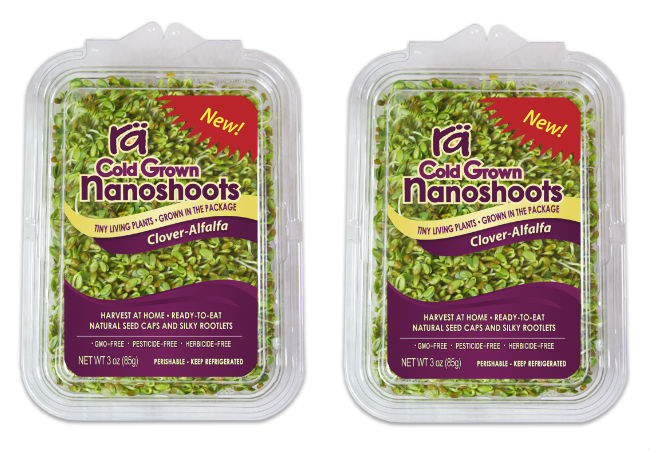 Rä Foods introduces alternative to traditional sprouts