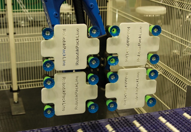 Demonstration packing line works in high-speed harmony
