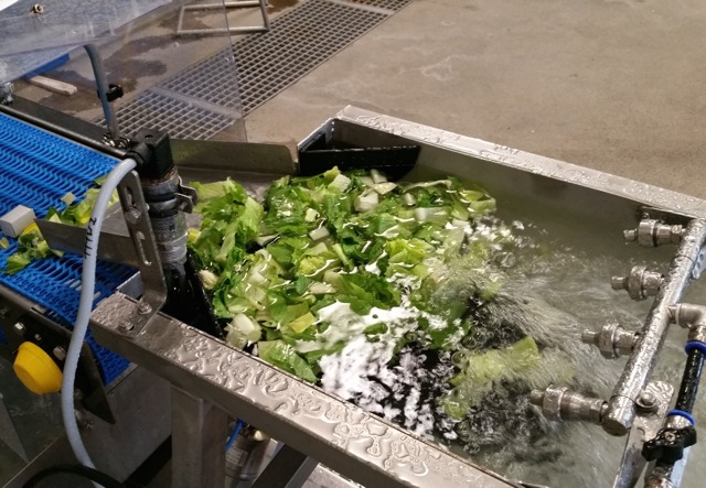Technology eyed as an alternate sterilization method for produce