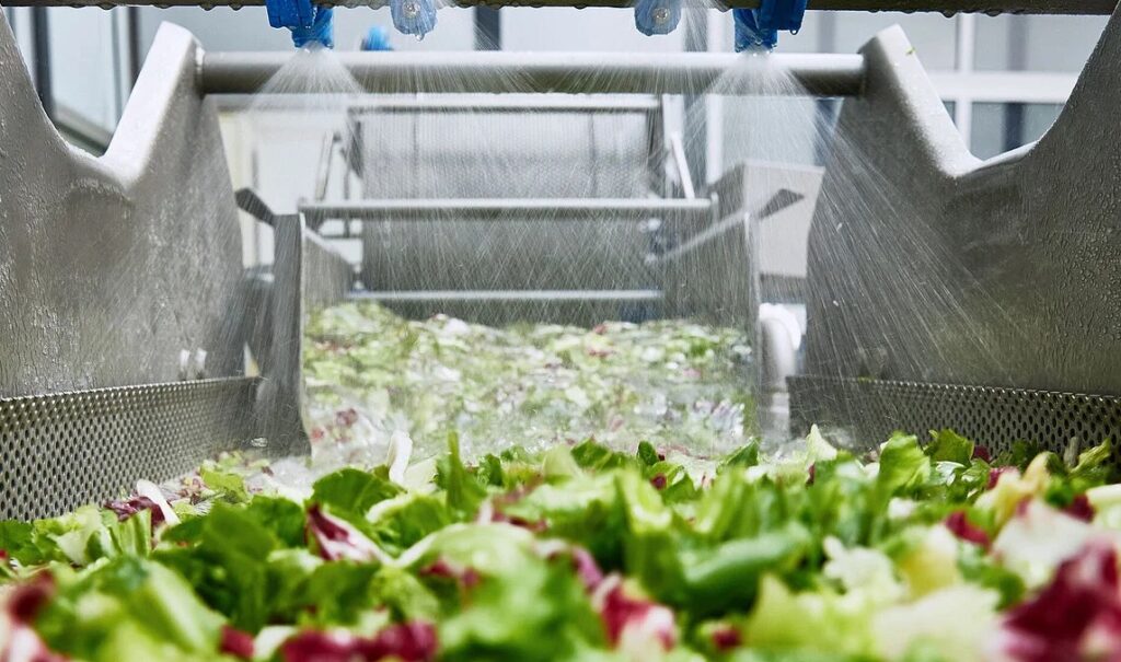 Kronen washing machine tests yield positive results for lettuce