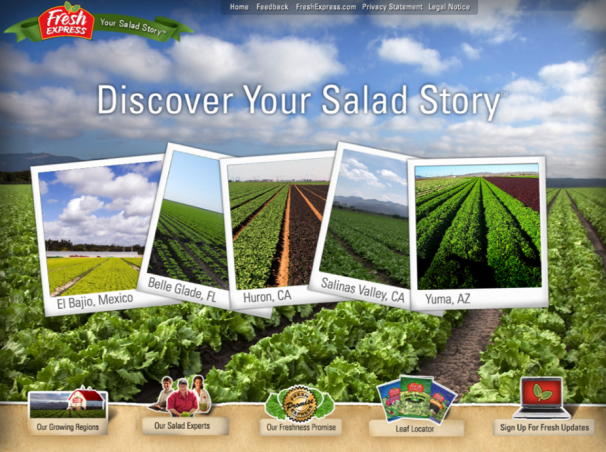 Your Salad Story