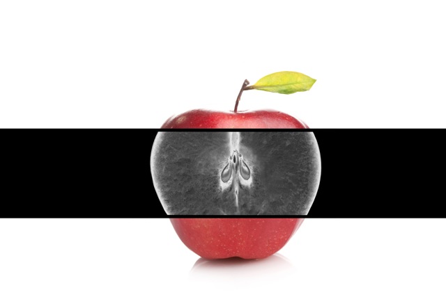 Optical, x-ray sorting technology detects unwanted materials