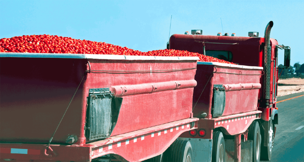 Bringing a processor’s work full circle with digital recordkeeping