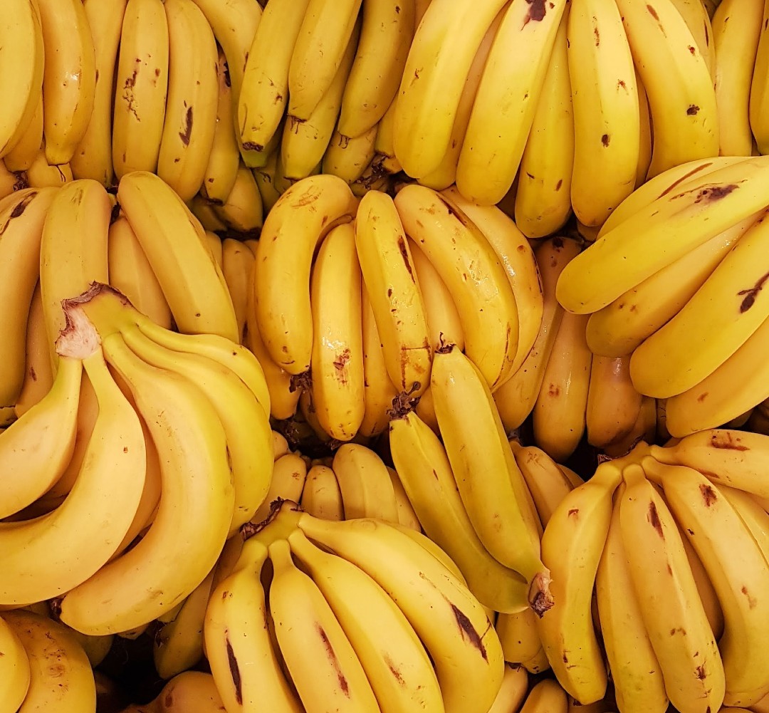 A closeup of bunches of bananas